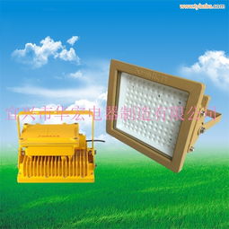 BAD808 L3 LED防爆泛光灯 工业照明安全卫士与路灯应用解析